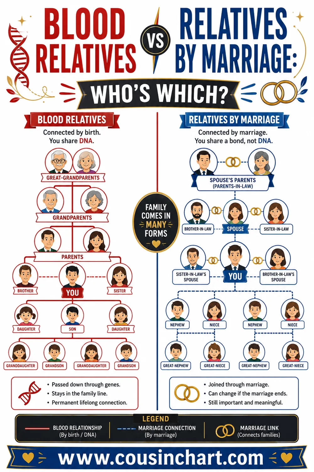 Blood Relatives vs Relatives by Marriage: Who's Which?