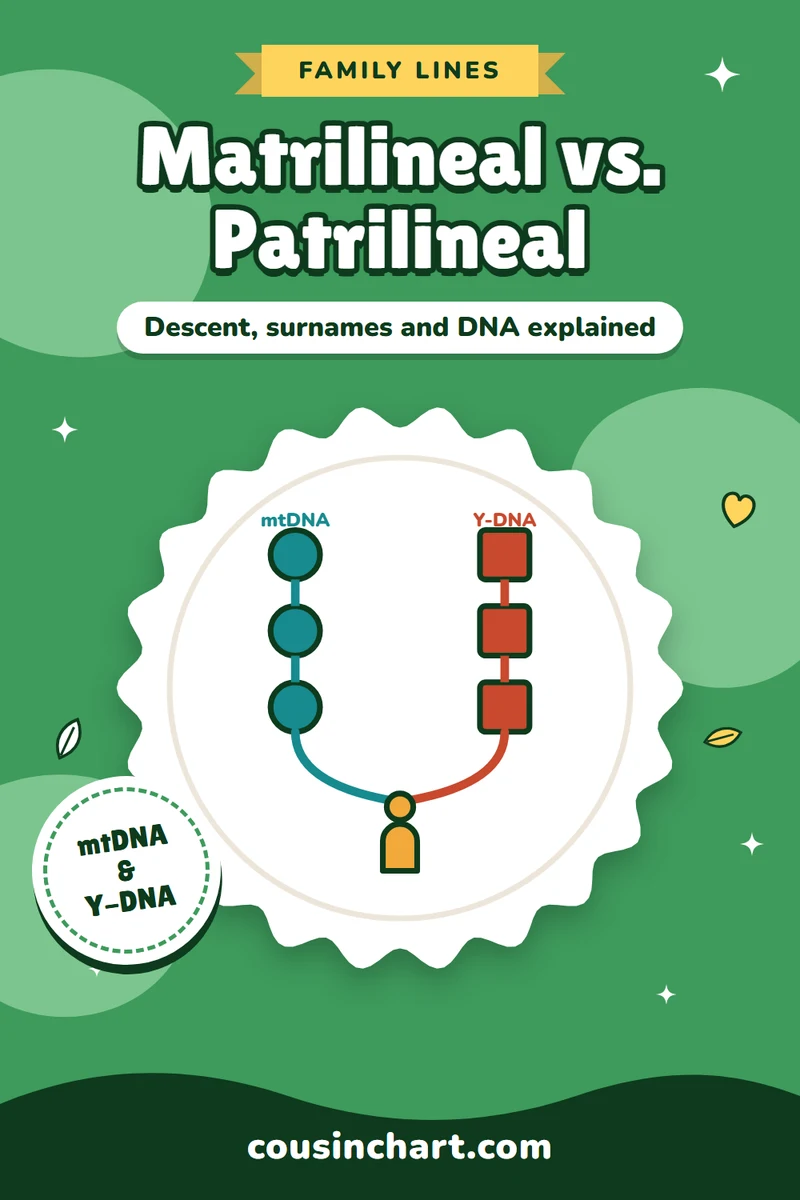 Matrilineal vs. Patrilineal: Descent, Surnames and DNA Explained