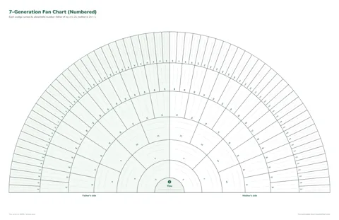 7-Generation Fan Chart (Poster) printable preview