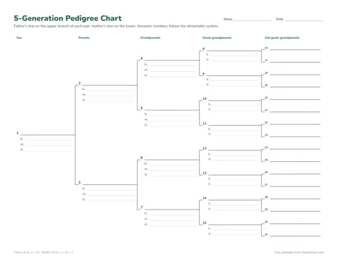 5-Generation Pedigree Chart printable preview